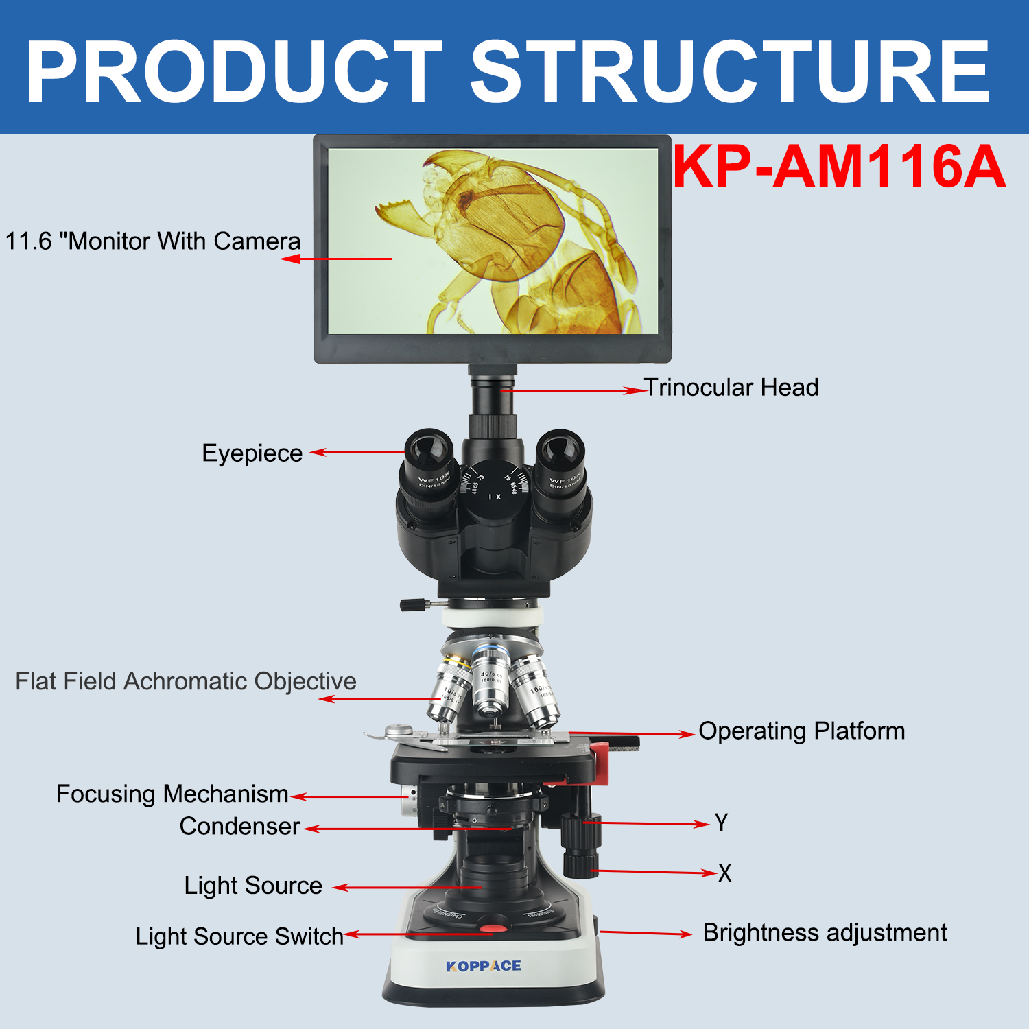 KOPPACE 40X-2500X Electron Com - đánh giá và giá Microscope Compound 40X
