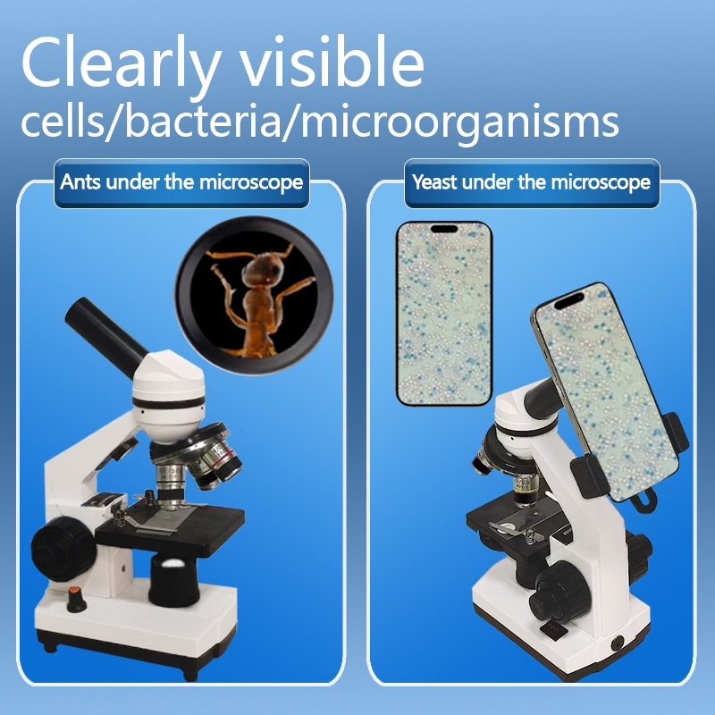 Portable Biological Optical Co - đánh giá và giá Microscope Compound 40X