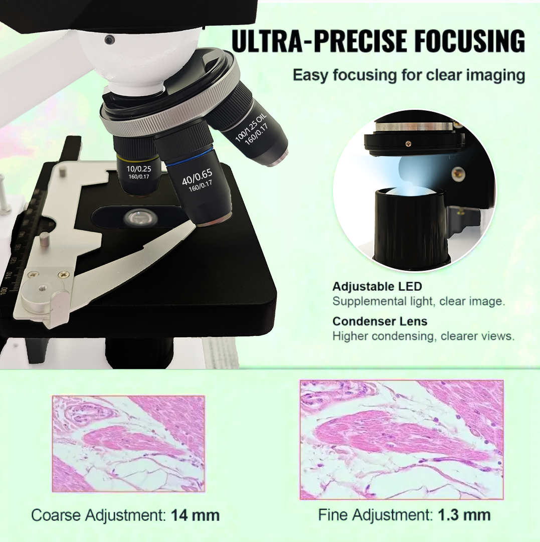40X-2500X Professional Binocul - đánh giá và giá Microscope Compound 40X